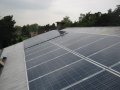 Solární panely Canadian Solar 250 Wp, okres Mělník